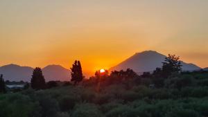 Villa Kamelia-Renovated old house-South Crete