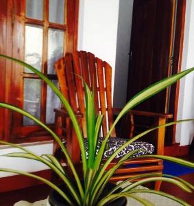 New Manik Homestay