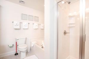 Phoenix Orange Beach II 2402 condo