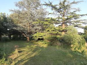 Maisons de vacances Au cabanon de Lisle : photos des chambres