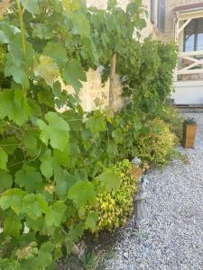 Maison chaleureuse en centre village avec cheminée