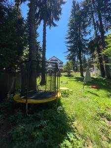 Pensiunea Carpatic Trei Brazi Predeal