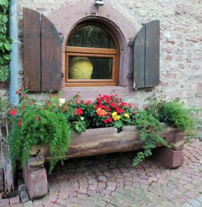 Maisons de vacances GITE DE LA FONTAINE : photos des chambres