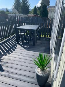 Freedom Lodge-Aviemore with FREE Starlink Superfast broadband 150mbps -bedding and towels included - Pet Free