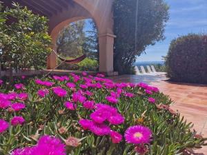 Villas Grande Maison au calme avec vue : photos des chambres