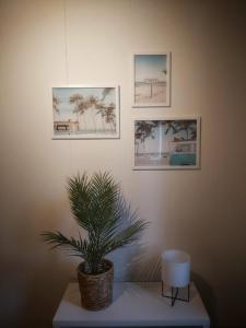 "Beach" Asunto älylukolla