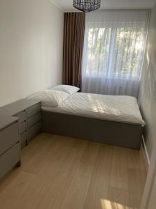 Apartament Kasztanowa