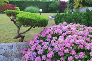 Garden Villa