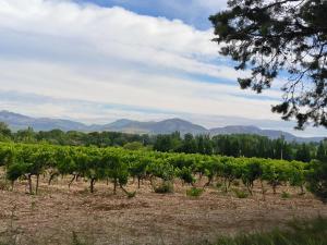 Villas Mas L'Escale des Dentelles : photos des chambres