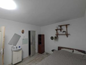 Garsoniera in apartament liber