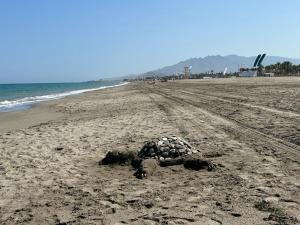 Ático junto al Mar,Acceso directo a la playa,Jardines de Nuevo Vera,WIFI