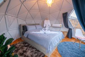 เดอะเนเจอร์ ม่อนแจ่ม The nature camping monjam