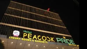 Hotel Peacock Pride - Siddipet