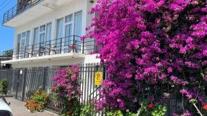 Guest house Abazgaa32 - Gagra
