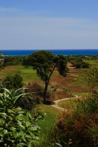 Hotels Palmyra Golf Hotel & Spa : photos des chambres