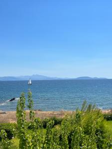 obrázek - Mati Seaside Studio