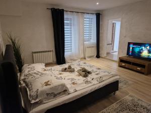 Apartament Baza