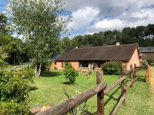 Bras de Mer - Courcelles-la-Forêt