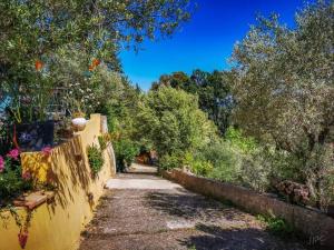 Maisons de vacances Grand Studio provencal, piscine vue magnifique : photos des chambres