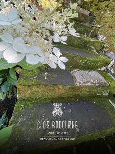 Maisons d'hotes Le Clos Rodolphe : photos des chambres