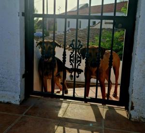 Cortijo naturista con vistas-clothing optional