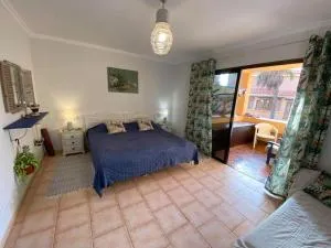 Studio De Ziutek - La Pared