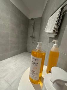 Magnifique Loft - Montreux Riviera - Veytaux