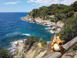 RESIDENTIAL FLAT Lloret de Mar (Nex