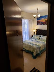 Recoleta Comfortable Apartment