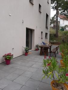 Lisière de la Forêt