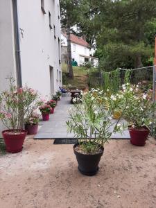 Appartements Lisiere de la Foret : photos des chambres