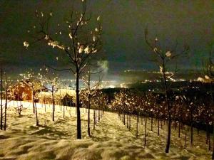 Brvnara Zlatibor Miris dunja