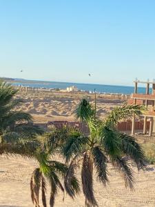 Red Ruby Compound منتجع الياقوتة الحمراء