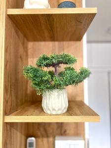 Apartman Tramonto Srebrno Jezero