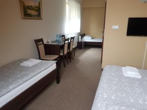 Pensjonat Cyrkon - strażnik młodszego Paleozoiku