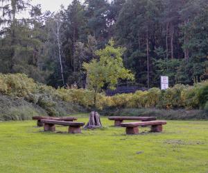 Pensjonat Cyrkon - strażnik młodszego Paleozoiku