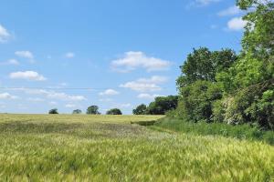 Entire 2 bed coach house in peaceful Norfolk village