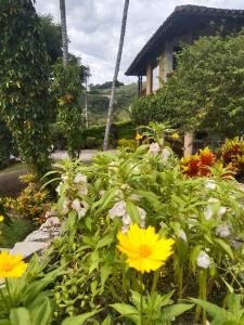 Finca BellaVista, Lago Calima: Hermosos Paisajes