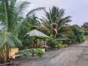 Jungle View Homestay & Guesthouse Only Stay Here Book Treking With Us