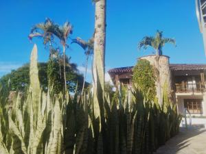 Finca BellaVista, Lago Calima: Hermosos Paisajes
