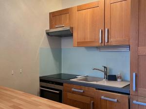 Appartement cosy au pied des pistes, 2 chambres - FR-1-515-161