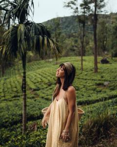 Madulkelle Tea and Eco Lodge