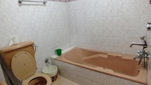 Hotel Dolphin