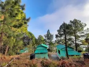 Rohini Village Homestay - Dwārīkhāl