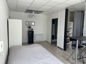 Appartements Studio bien place (100 m gare) : photos des chambres