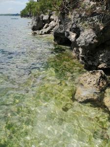 Bluewaves Apartment, scooter, car