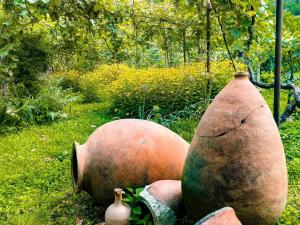 Guest House Oasis - Tvishi