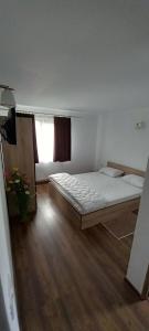 Pensiune Restaurant Alex