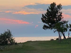 Apartments Beachfront Spina