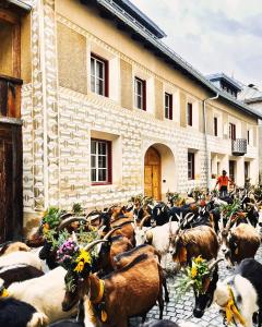 Ein Kraftort und architektonisches Juwel